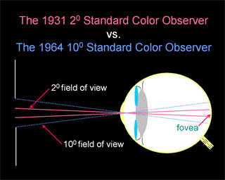 Standard Observer