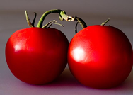 color measurement of food